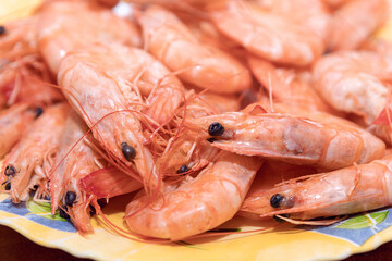 Cooked shrimps in a table. Typically marine frequently harvested for food