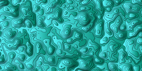 Stylish Vector Artwork Depicting a Topographic Map with Rich Topographical Details and Complex Topology, Great for Geographic Representations, Digital Art, and Educational Materials