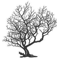 silhouette corals are marine invertebrate animal black color only