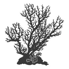 silhouette corals are marine invertebrate animal black color only