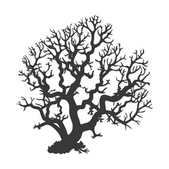 Fototapeta premium silhouette corals are marine invertebrate animal black color only