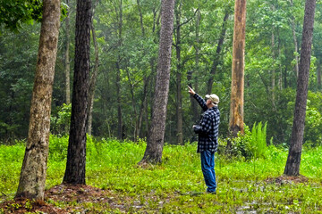 Senior man pointing at something in the trees of a dense forest in southeastern Texas.