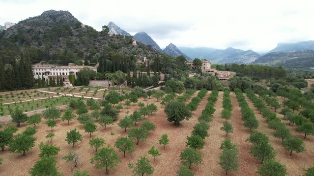 Aerial View of Raixa Estate in Bunyola Mallorca During Daylight Hours