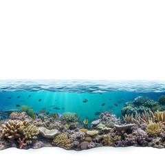 A beautiful underwater scene with a variety of fish and coral
