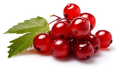red currant, Sweet redcurrant isolated on white background, Vibrant Red Currant Photo Creative Commons Accurate And Detailed