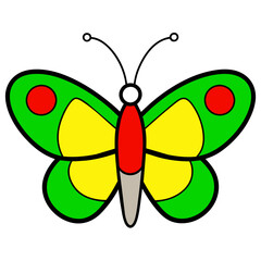 illustration of a butterfly