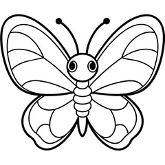 butterfly illustration