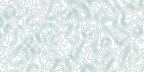 Comprehensive Vector Design Illustrating a Topographic Map with Rich Topography and Complex Topological Features, Great for GIS Applications, Cartographic Design, and Educational Content