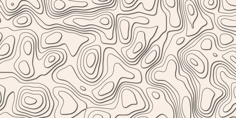 Professional Vector Design of a Topographic Map Highlighting Detailed Topography and Intricate Topological Features, Ideal for Geographic Analysis, Cartography, and Modern Visual Projects