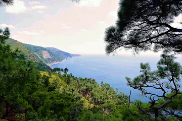 morning in the mountains