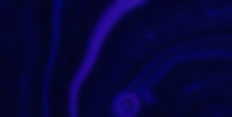 Dive into a Cheerful Kaleidoscope of Colors and Shapes in an Abstract Wonderland