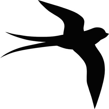 recommend clip art: Flying birds silhouette, Silhouettes crowd flying birds away sky, flyingof sea free black bird aloft swift flight swarm swallow vector 