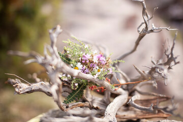 real dry beauty tree branch on rock with wild flowers, natural background