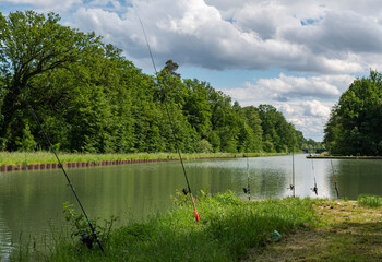 Fishing rods are installed at the water's edge. On the Canal de la Marne au Rhin, carp anglers have moved into the shade.