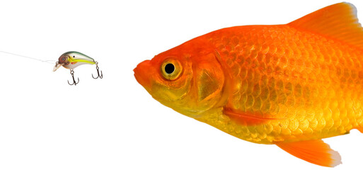 Phishing on the Internet about to pay off with another victim