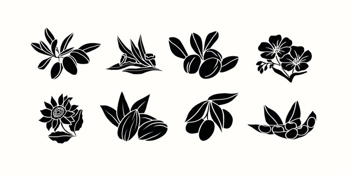 Flat vector cosmetic plants and flowers. Argan, sesame, shea, flax, sunflower, almond, olive, soybeans