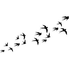 A flock of flying birds, swallow Flying Silhouettes, group of birds in the sky 