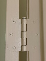 Painted door hinge