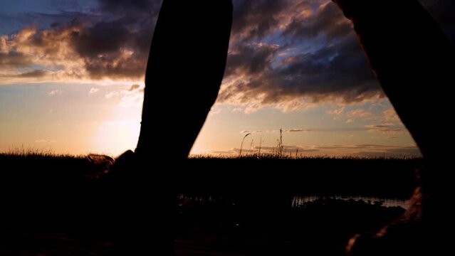 JOVEN ANDANDO AL ATARDECER