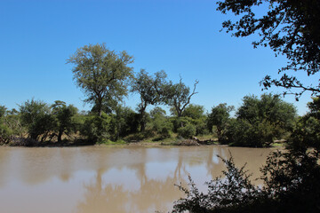 Krügerpark - Gardenia hide / Kruger park - Gardenia hide /