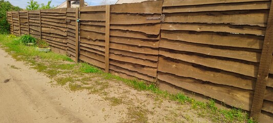 fence in the forest