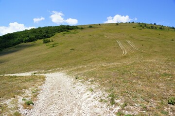 footpath in the mountains