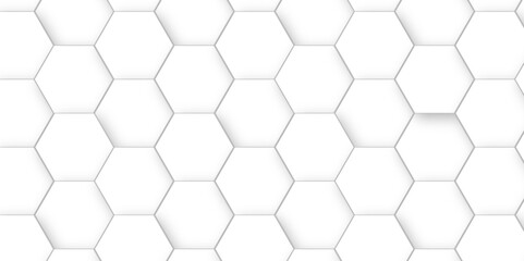 Abstract Vector pattern with hexagonal white and gray technology line paper background. Hexagonal 3d grid tile and mosaic structure mess cell. white and gray hexagon honeycomb geometric copy space.