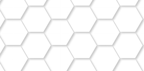 Abstract Vector pattern with hexagonal white and gray technology line paper background. Hexagonal 3d grid tile and mosaic structure mess cell. white and gray hexagon honeycomb geometric copy space.