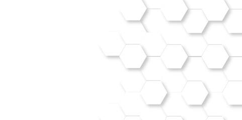 Abstract Vector pattern with hexagonal white and gray technology line paper background. Hexagonal 3d grid tile and mosaic structure mess cell. white and gray hexagon honeycomb geometric copy space.