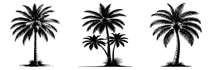 Illustration of a palm tree. Black tropical tree on a white background. Generated by Ai