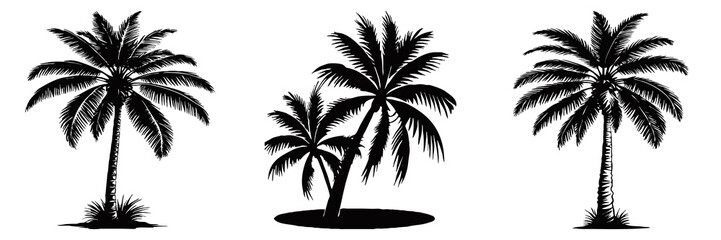 Fototapeta premium Illustration of a palm tree. Black tropical tree on a white background. Generated by Ai
