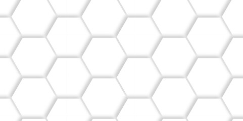 Abstract Vector pattern with hexagonal white and gray technology line paper background. Hexagonal 3d grid tile and mosaic structure mess cell. white and gray hexagon honeycomb geometric copy space.