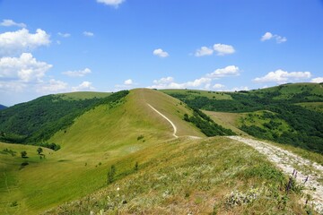 landscape in the mountains