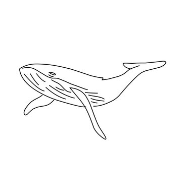 recommend clip art: Line art fish and bird