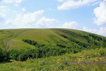 Naklejka premium landscape with grass and sky