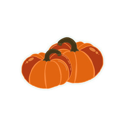 pumpkin isolated on white