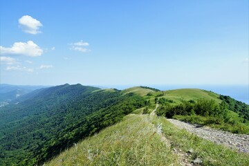 landscape in the summer