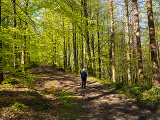 Obraz premium Paseando