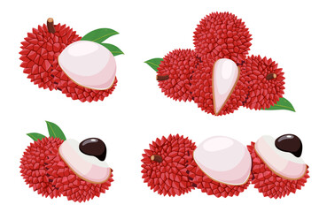 Lychee fruit vector Cartoon  isolated on white background