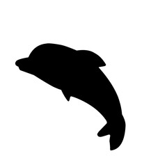 sea animal silhouette vector 