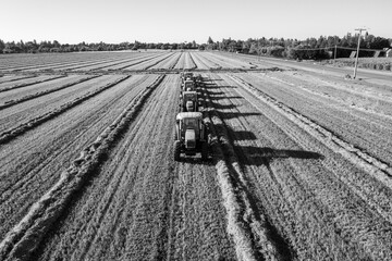 tractors harvesting alfalfa photo in black and white