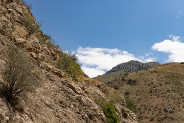 Adventurous Soul Conquers Treacherous Terrain on Bicycle