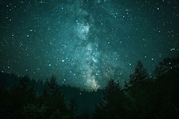 A night shot of the stars above a forest, high quality, high resolution