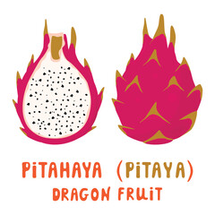Cartoon card with pitahaya whole and cut.Dragon fruit isolated on white background with lettering.Edible cactus with light-colored flesh and seeds.Vector design for banner template,poster,stickers.