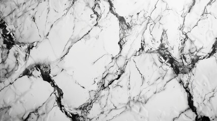 Obraz premium Immerse Yourself in Sophisticated Elegance with Our Marble Texture Visual