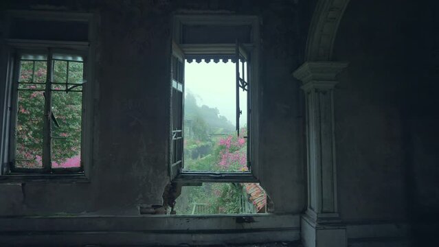 Empty room of an abandoned house with broken windows, moss on the floor and nature in the background (ProRes 4:2:2 HQ, 4K)