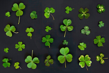 leaf clover,top view,collection,simplistic cartoon, lay flat knolling growing on a black background