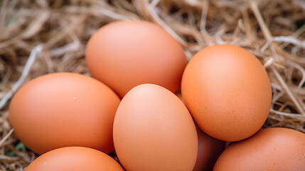  brown  eggs closeup in a nest basket