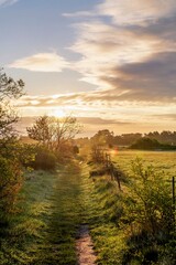 Sunrise in the fields