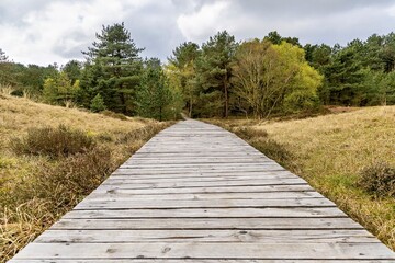 Plank path into the dune landscape